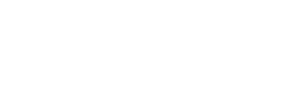 Platinum Properties Logo